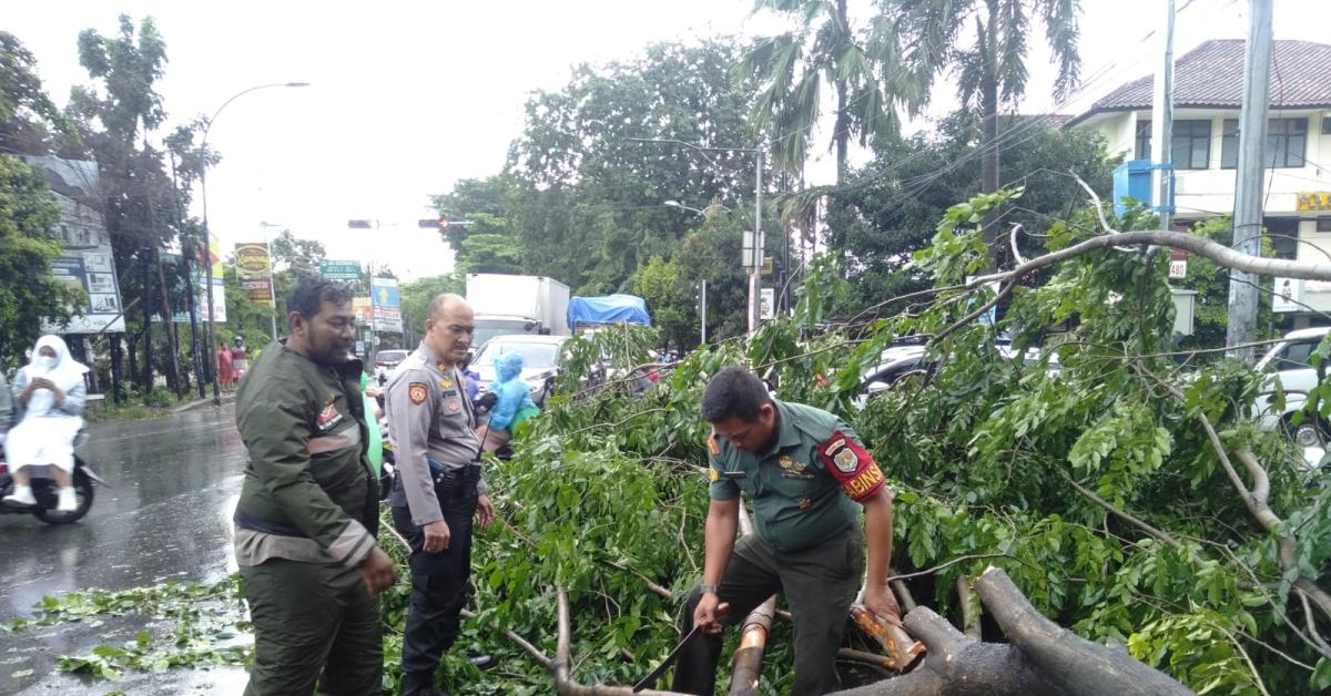 Kota Bekasi Diterjang Hujan dan Angin Kencang, 7 Titik Pohon Tumbang