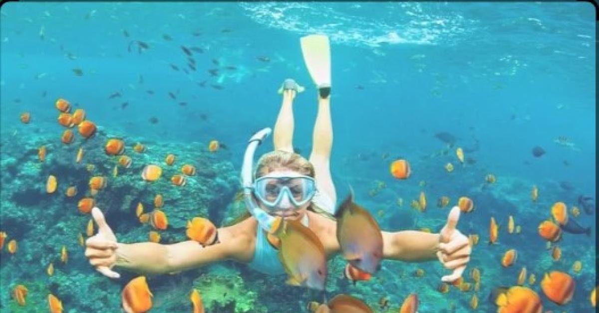 Rekomendasi Tempat Snorkeling Di Bali, Dijamin Betah Dan Ga Mau Pulang