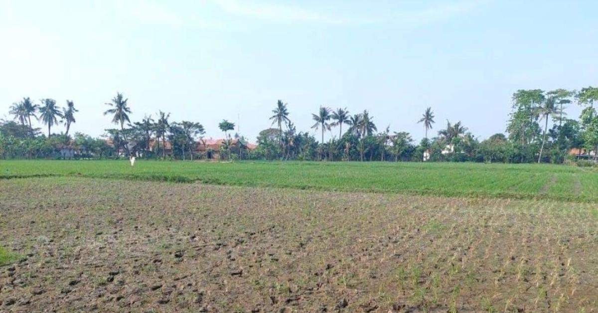 Antisipasi Kekeringan Air Akibat Fenomena El Nino, Ini Langkah yang Disiapkan di Wilayah Kabupaten Bekasi
