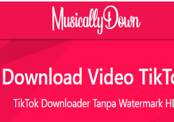 Cara Download MP3 Dari TikTok Selain Menggunakan MusicallyDown, Mudah Hingga Bisa Dapat Cuan