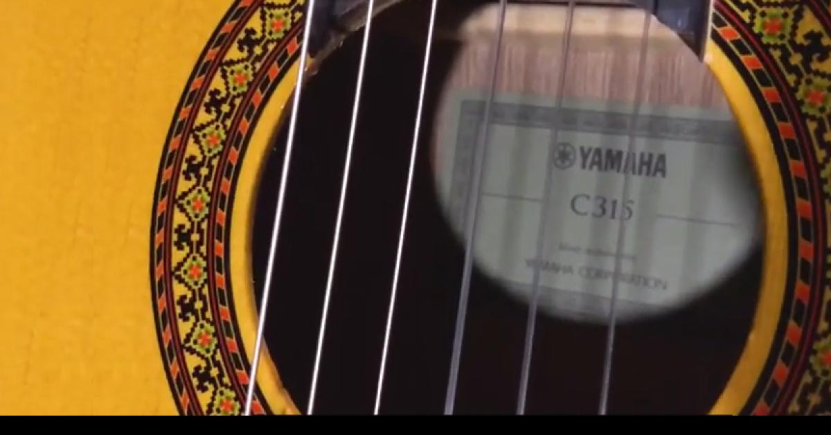 Rivew Spesifikasi dan Harga Gitar Yamaha C315