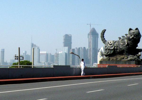 Kucing Jembatan