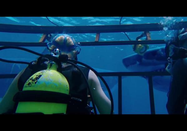 Sinopsis Film 47 Meters Down: Ketika Terjebak di Dasar Lautan yang Dikelilingi Hiu Ganas