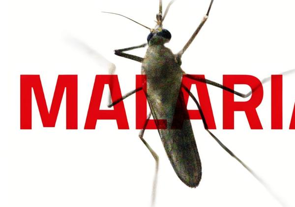 Peringatan Hari Malaria Sedunia menurut Guru Besar Esa Unggul