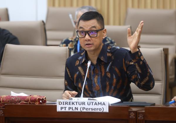 Komisi VI DPR RI Apresiasi Peningkatan Kinerja Keuangan PLN