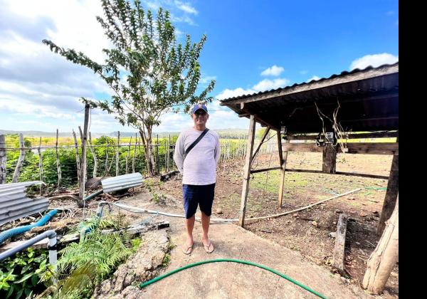 Pertanian Modern Berbasis Listrik Kian Berkembang, Program Electrifying Agriculture PLN Tumbuh 22,28 Persen