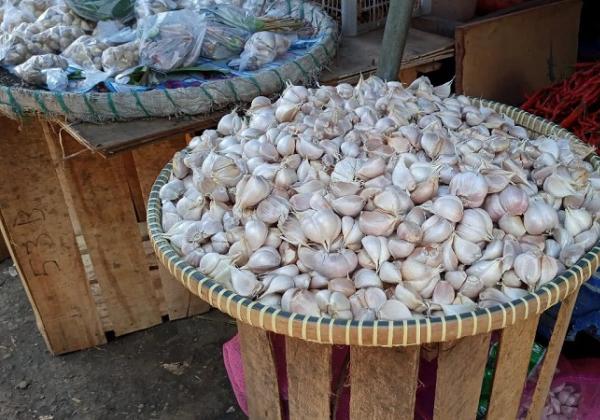KPPU Cari Penyebab Tingginya Harga Bawang Putih di Sumut