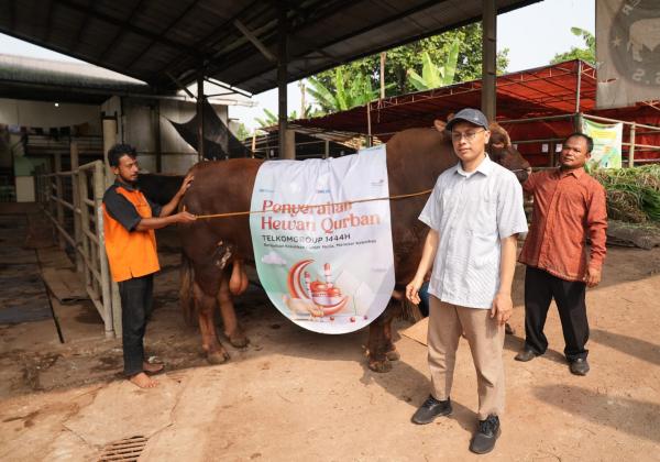 Iduladha 1444 H, TelkomGroup Distribusikan Hewan Kurban ke Seluruh Indonesia
