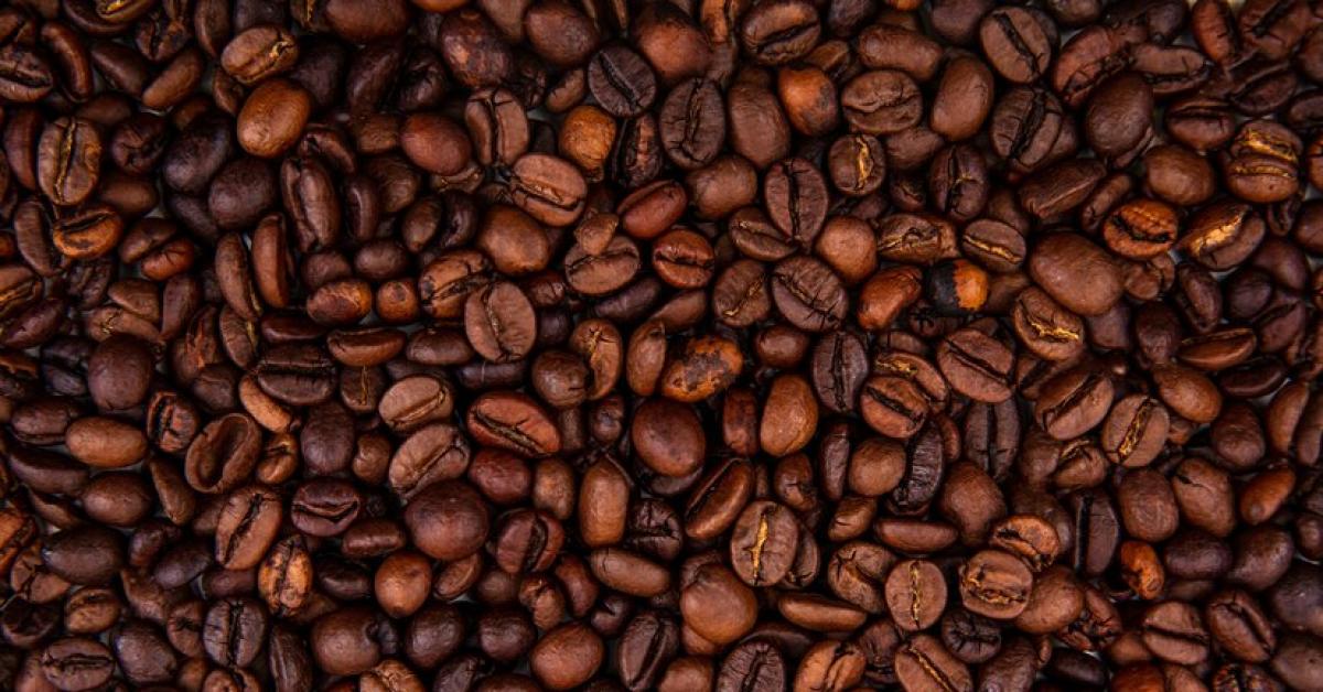 Kopi Arabika Toraja: Kebanggaan Indonesia dalam Cangkir