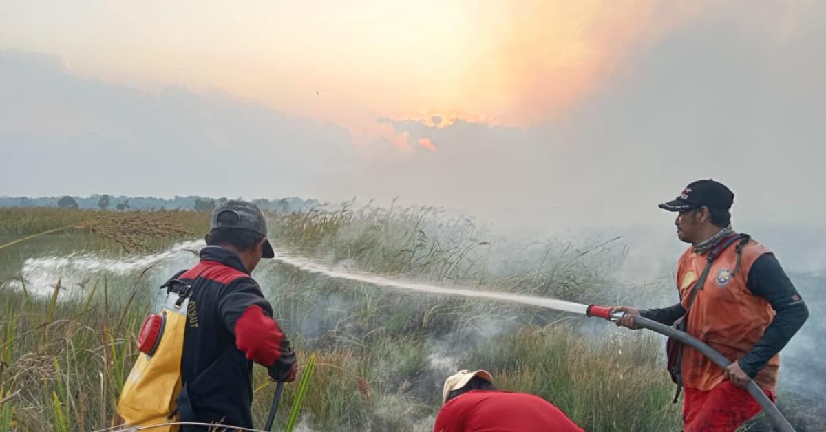 Ulah Pemburu Liar, Satwa Dilindungi Di Taman Nasional Way Kambas Kabupaten Lampung Timur Mati Terbakar
