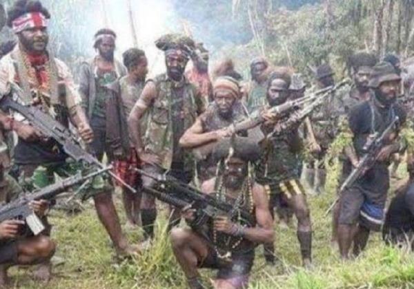 Geram Pelajar SMP dan SMA Dipaksa Serang TNI-Polri, Warga Papua Angkat Senjata Lawan KKB Papua 