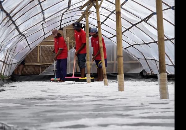 Kemensos Beri Dukungan Produksi Garam Kusamba Melalaui Program PENA 