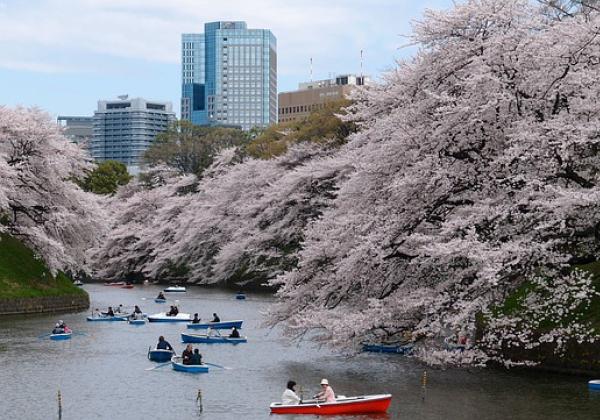 Mau Liburan ke Jepang? Bulan Depan Pembatasan Kunjungan Turis Mancanegara Mulai Kendor