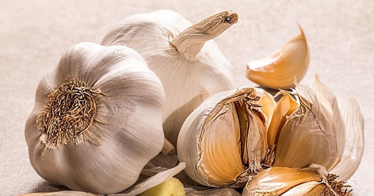 Rajin Konsumsi Bawang Putih, Kesehatan Tubuh akan Terjaga
