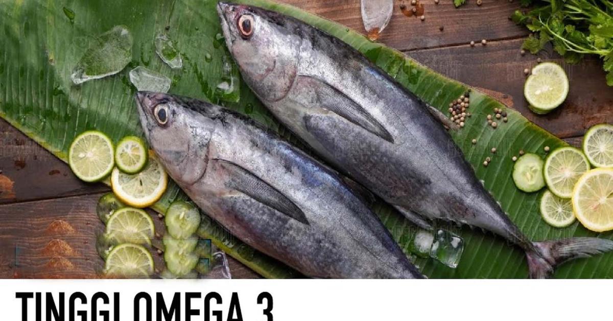 Menikmati Manfaat Ikan Tongkol untuk Menurunkan Kolesterol