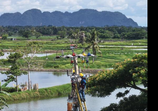 Akhirnya, 33 Dusun Terpencil Sulawesi Selatan Dilistriki PLN, Menyala 24 Jam!