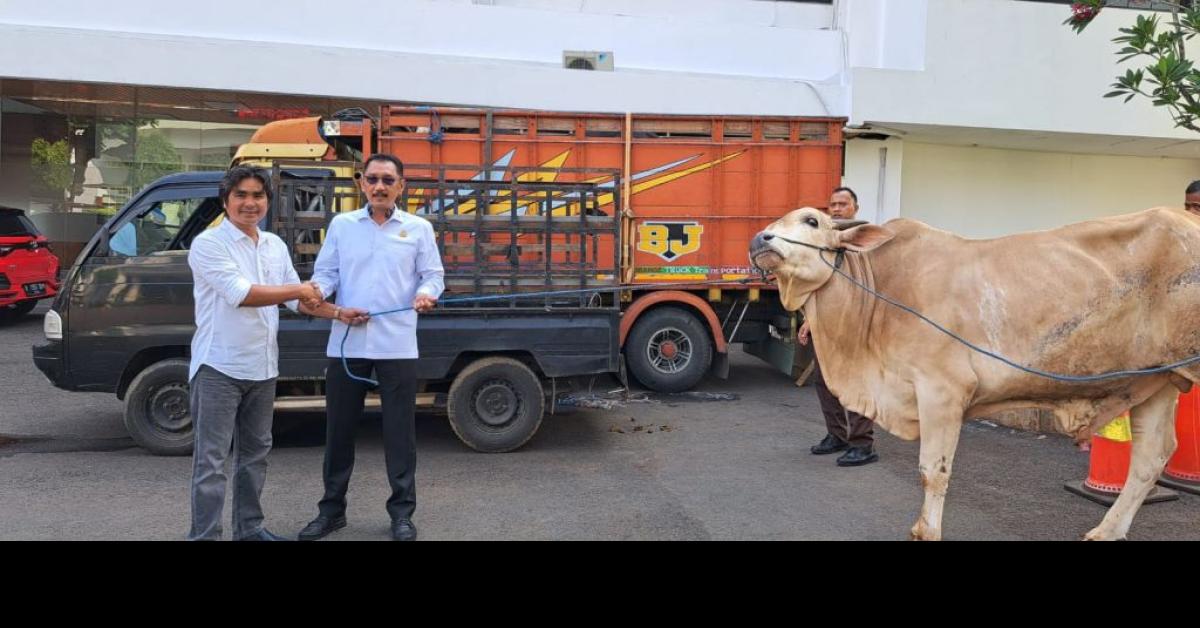 Jelang Idul Adha 1444 Hijriah, Jaksa Agung ST Burhanuddin Berikan Satu Ekor Sapi untuk Forwaka
