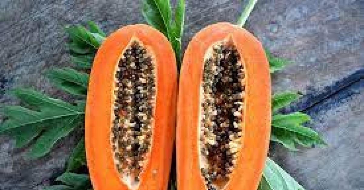 Cara Mengolah Pepaya Menjadi Permen Jelly, Prosesnya Gak Ribet