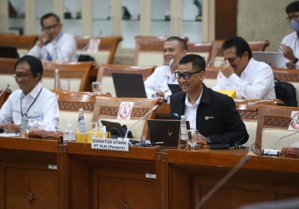 Komisi VI DPR RI Apresiasi PLN Realisasikan PMN Untuk Program Listrik Desa
