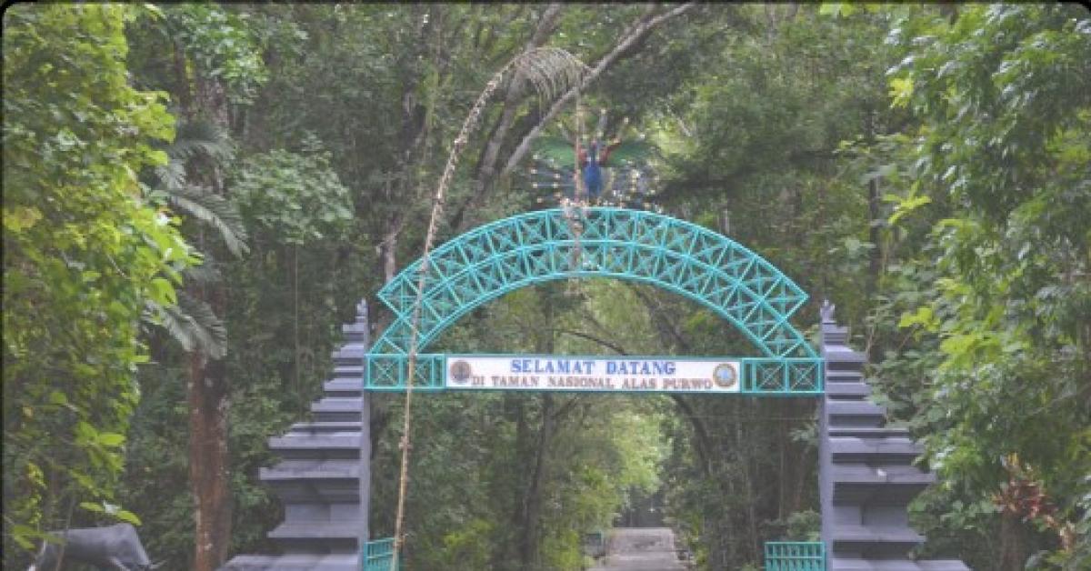 Sejarah Dan Mitos Yang Ada Di Taman Nasional Alas Purwo 