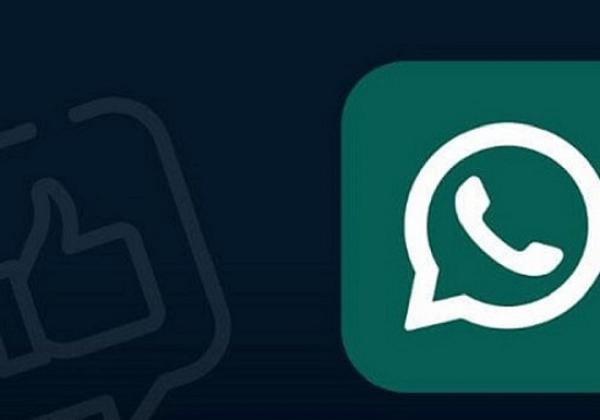 Cara Setting WhatsApp yang Bisa Chat Tanpa Kuota Internet, Mudah Banget!