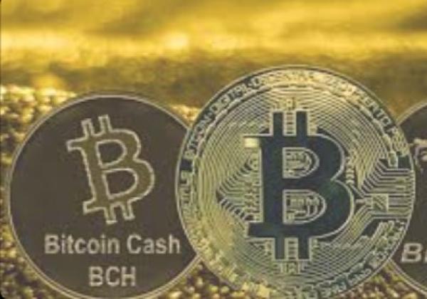 Prediksi Harga Bitcoin Hari Ini dan Coin Lain yang Berpotensi Naik