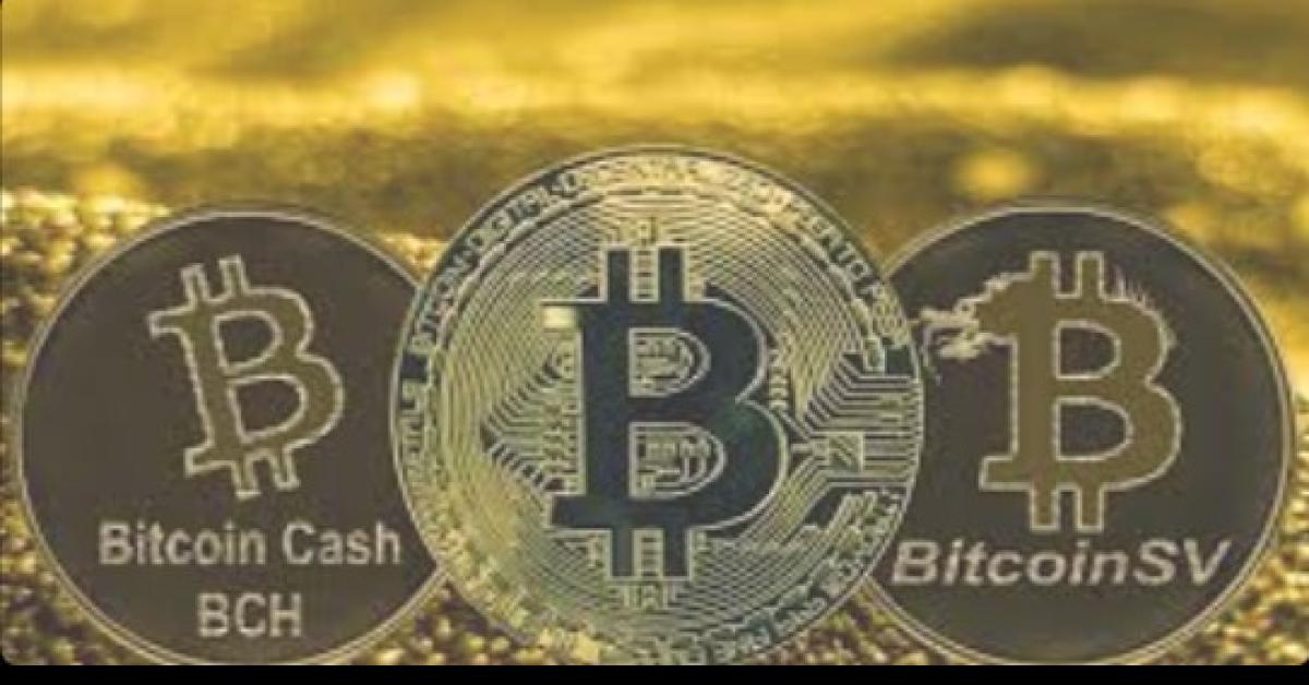 Prediksi Harga Bitcoin Hari Ini dan Coin Lain yang Berpotensi Naik