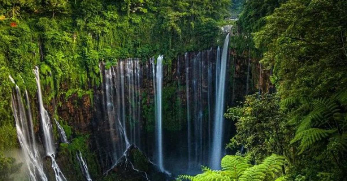 Mengenal Keindahan Alam Wisata Air Terjun Tumpak Sewu Lumajang yang Dijuluki Tebing Nirwana 