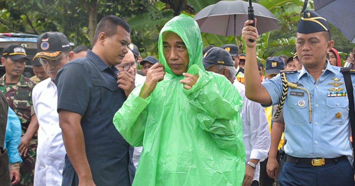  Ketik Monyet Pakai Jas Hujan Muncul Foto Jokowi, Begini Kisahnya