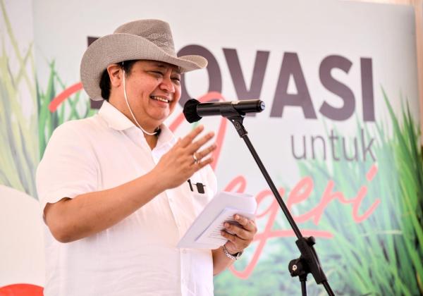 Sentuhan Teknologi Dalam Budidaya Padi Gogo Jadi Solusi Lahan Kering Bisa Produktif