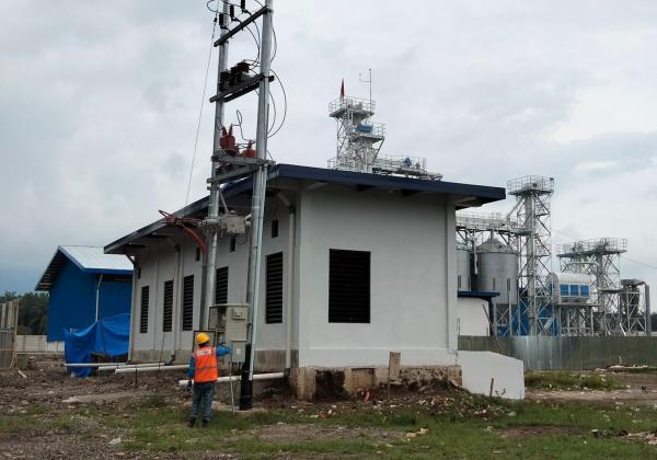 Disuplai Listrik PLN, Pabrik Jagung Milik Pemprov Sumbar Kini Mampu Produksi hingga 50 Ton per Hari