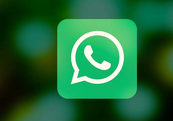 Link Download WhatsApp GB Pro v17, Paling Banyak Dicari dan Diunduh