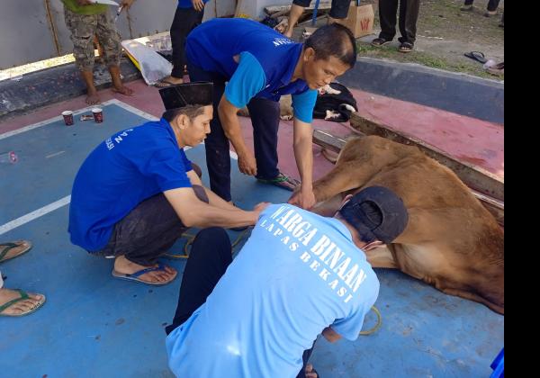 Momen Bahagia Saat Warga Binaan di Lapas Kelas IIA Kota Bekasi Sembelih Hewan Kurban