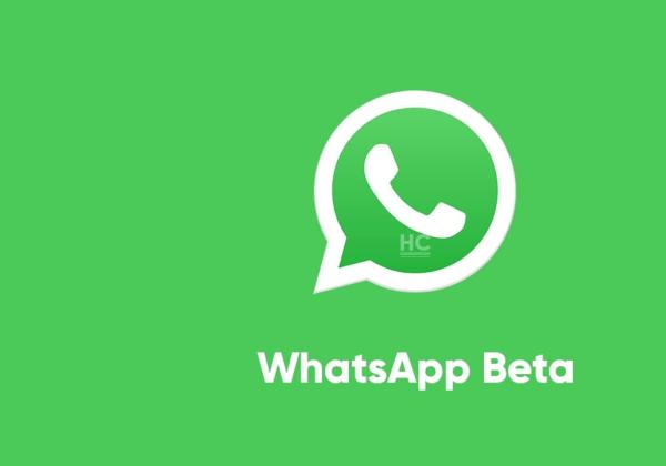 Terbaru! Link Download WhatsApp Beta, Modifikasi yang Aman dan Anti Banned