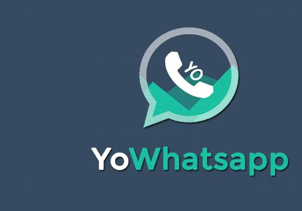 Link Download APK Yo WhatsApp Fouad Versi Terbaru v9.82F, Bebas Iklan!