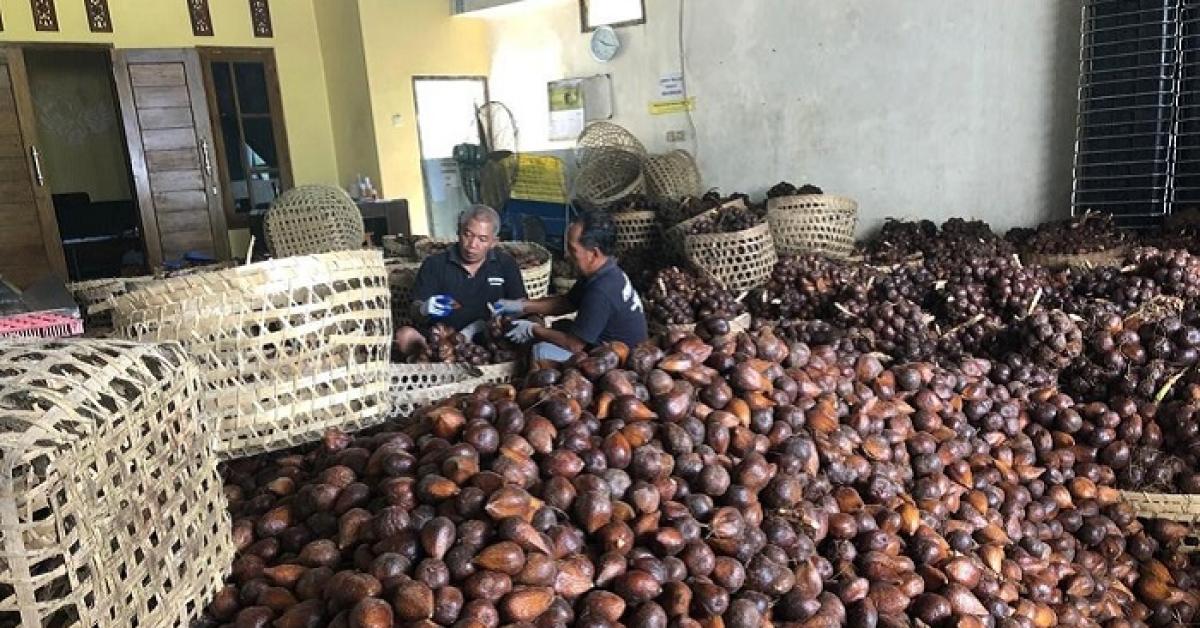 Dari Ikan hingga Buah-buahan, Bea Cukai Bantu Produk Lokal Tembus Pasar Internasional