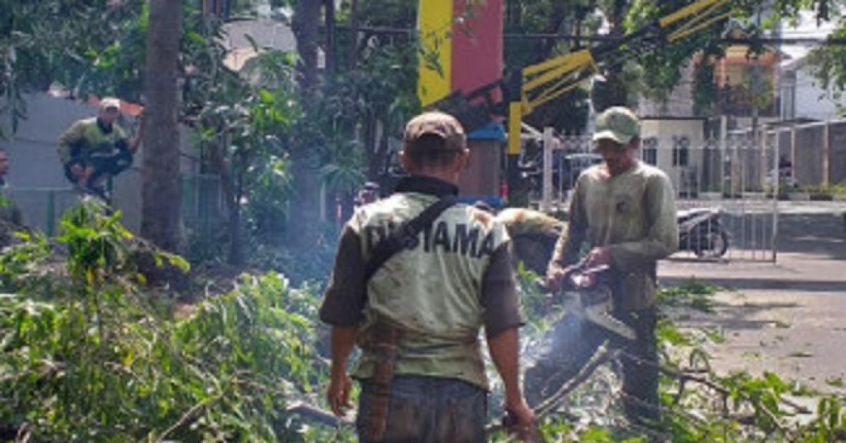 Ibukota Waspadai Pohon Tumbang, Diperkirakan Hujan Disertai Angin Kencang dan Petir Selimuti Jaktim dan Jaksel