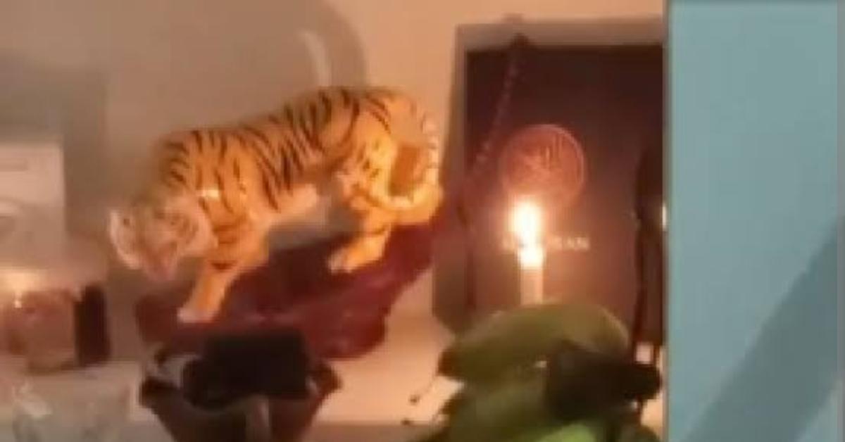 Kisah Wanita Tionghoa di Medan: Beli Alquran Karena Tertarik dengan Islam, Tapi Dianggap Penistaan Agama