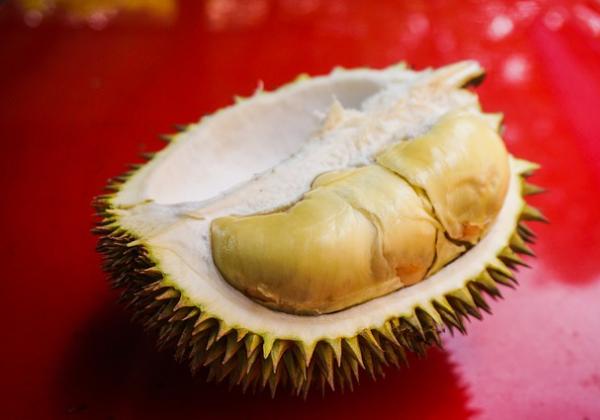 Wow Buah Durian Ternyata Punya Segudang Manfaat Lho, Bisa juga Menyembuhkan Kanker?