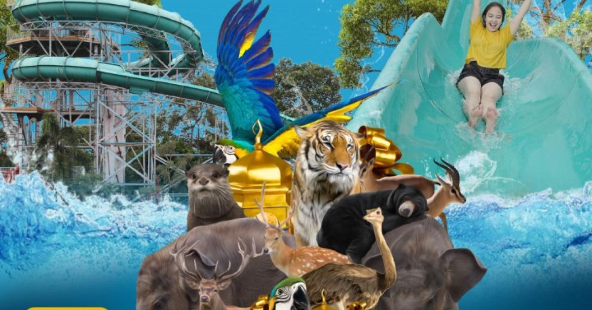 Destinasi Wisata Terdekat dari Bandar Lampung yang Wajib Dikunjungi, Bikin Petualanganmu Jadi Seru!