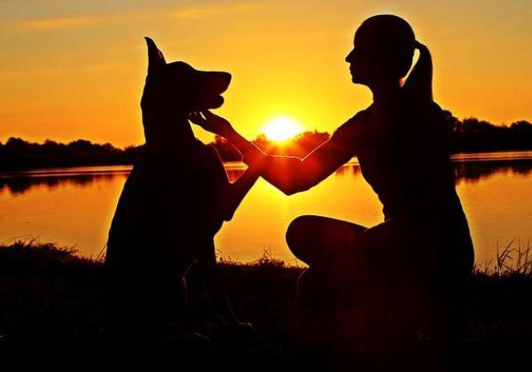 Seorang Wanita Kena Kanker Ganas tanpa Sadar, Anjing Doberman Miliknya yang Kasih Tau