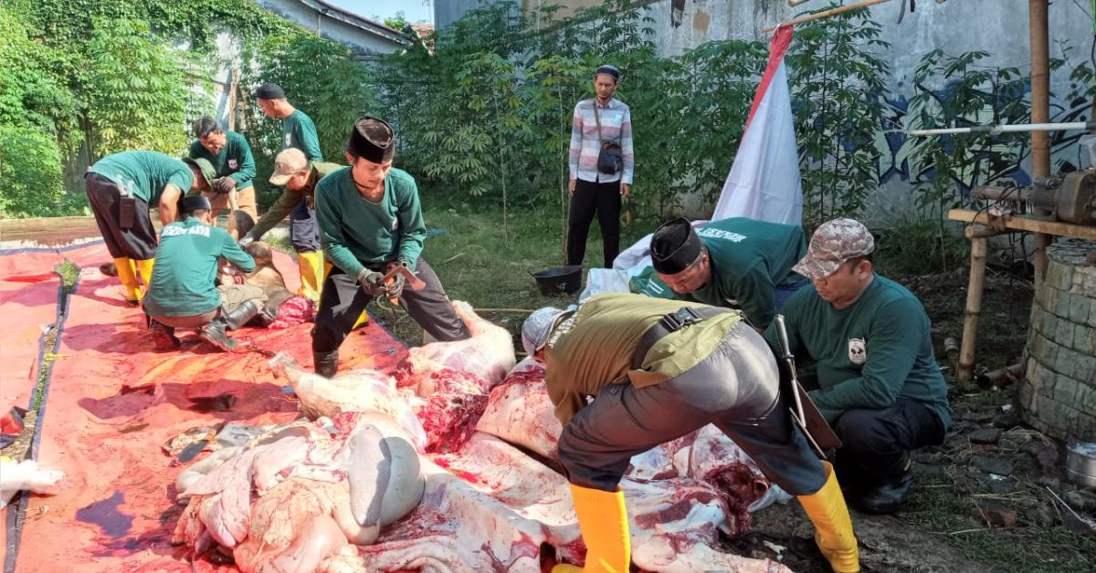 7 Ekor Sapi dan 14 Kambing Disembelih di Masjid Al-Barkah Kota Bekasi Sudah Melalui Pemeriksaan