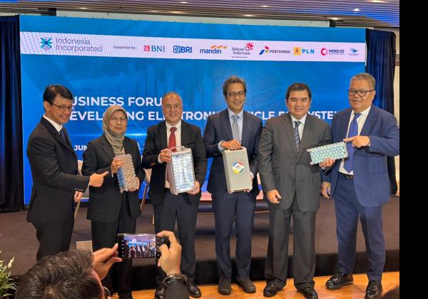 Dorong Perusahaan Domestik Go Global, Erick Thohir Ajak PLN Berkolaborasi dengan Perusahaan Energi China