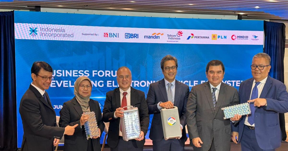 Dorong Perusahaan Domestik Go Global, Erick Thohir Ajak PLN Berkolaborasi dengan Perusahaan Energi China