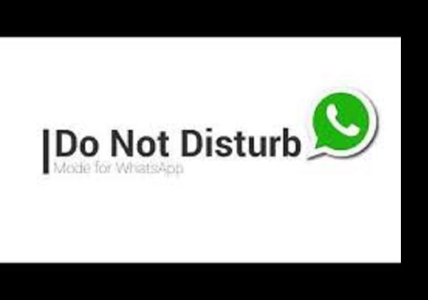 Download GB WhatsApp Pro Apk 2023 Anti Banned: Bisa Hidupkan Mode Jangan Ganggu