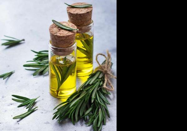 Kenali Manfaat Minyak Zaitun Extra Virgin Olive Oil bagi Kesehatan Tubuh