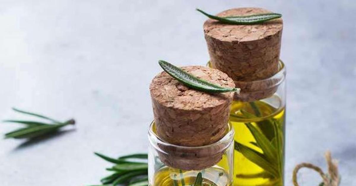 Kenali Manfaat Minyak Zaitun Extra Virgin Olive Oil bagi Kesehatan Tubuh