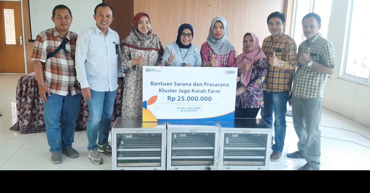 Program Pemberdayaan BRI Bikin Peternakan Ayam di Surabaya Ini Berkembang dan Bisa Bantu Banyak Orang