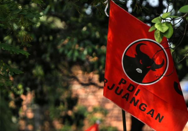 Bikin Jengkel Hasto, Bendera PDI Perjuangan Diturunkan, Tapi Bendera PSI Dibiarkan Saat Jokowi Kunker di Gunung Kidul