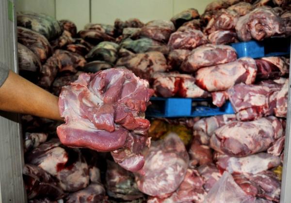 Duh, Daging Celeng Seberat 720 Kg Asal Bengkulu Bakal Disebar di Bekasi